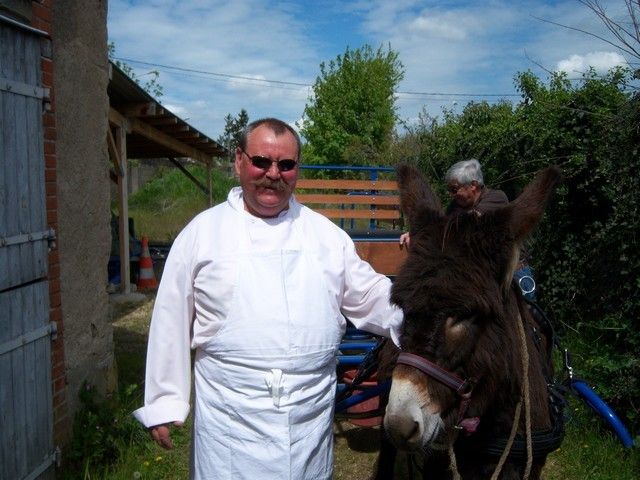 carnaval 2010 (17).jpg